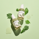 Round Lab Mugwort Calming Serum (Заспокійлива концентрована сироватка), 50 мл 8809738593103 фото 5